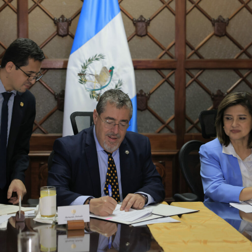 53676212915_8e474ed771_o